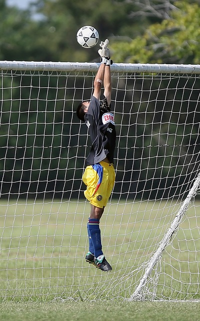 为球队注入 为球队注入