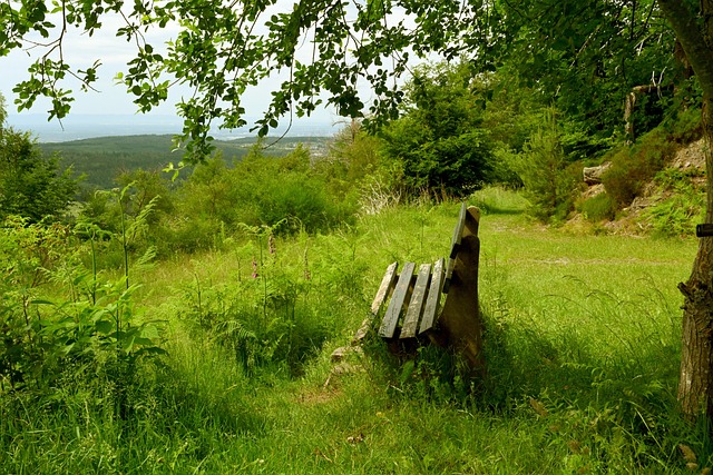 但同曦距离 但同曦距离