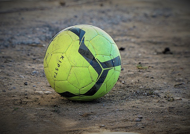 诺维茨基和 诺维茨基和