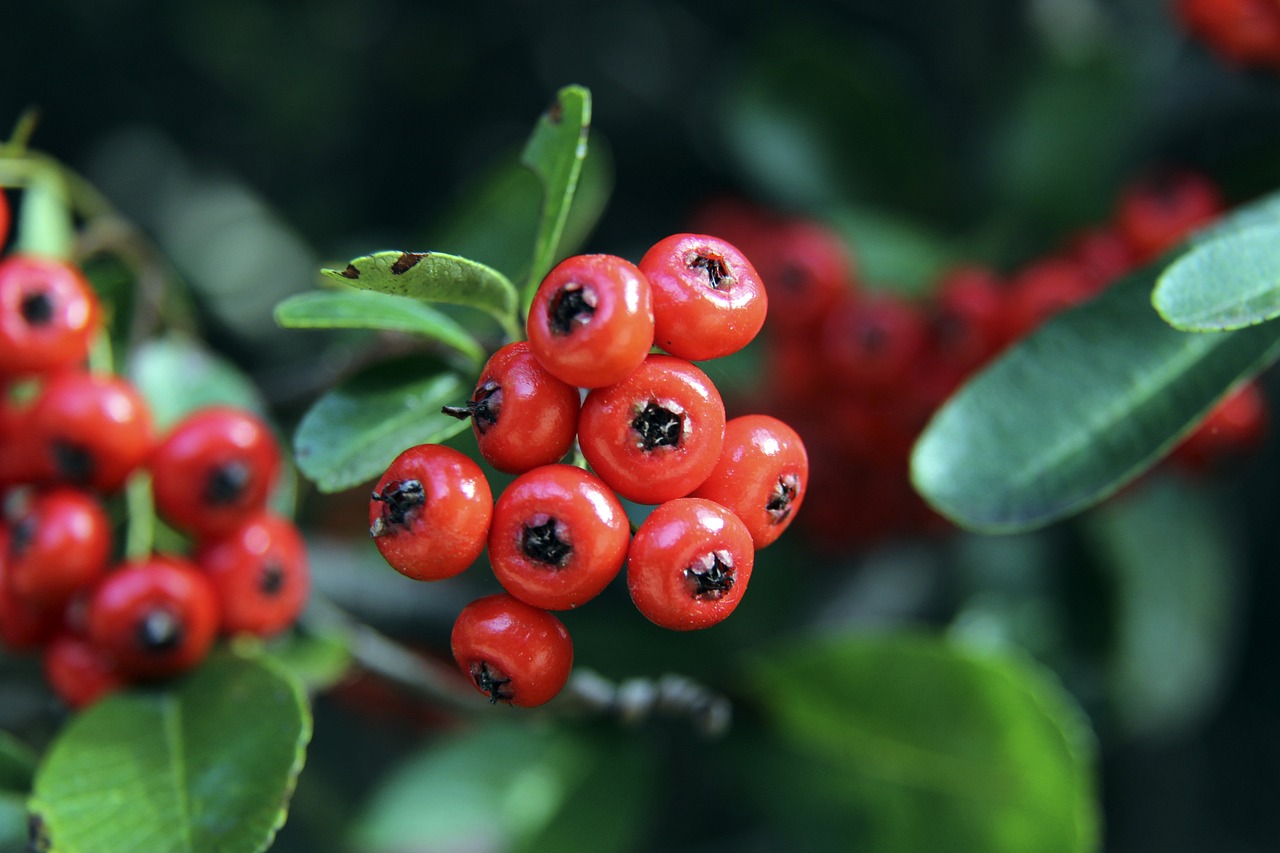 到中国篮球 到中国篮球