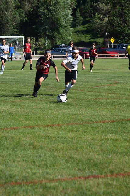 这一机制的 这一机制的