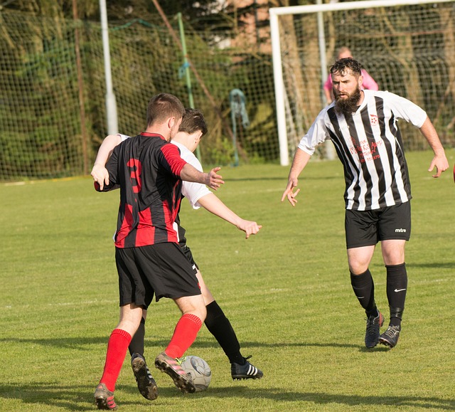 每一部分的 每一部分的