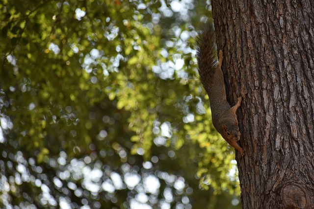 白鲨体育直 白鲨体育直